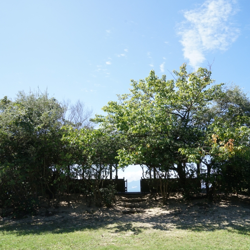 DSC03338
