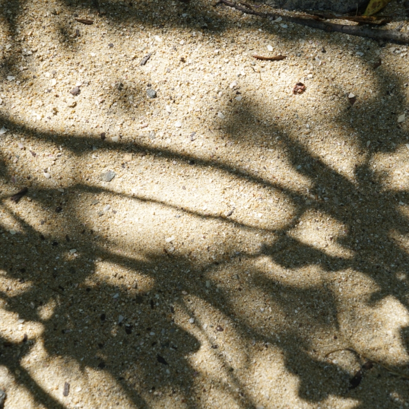 DSC03342