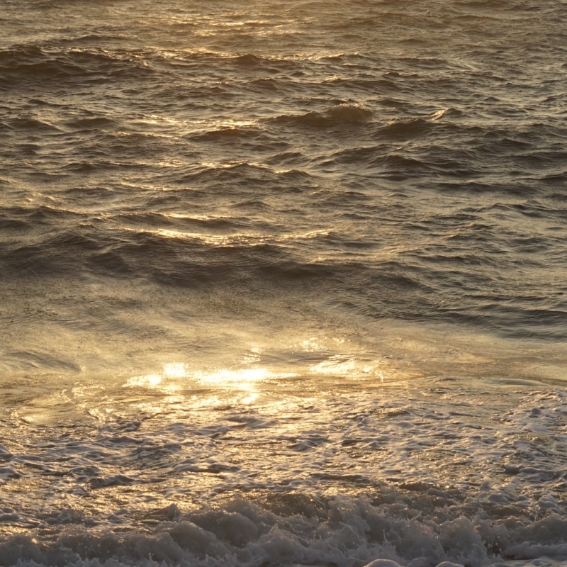 S__21332001