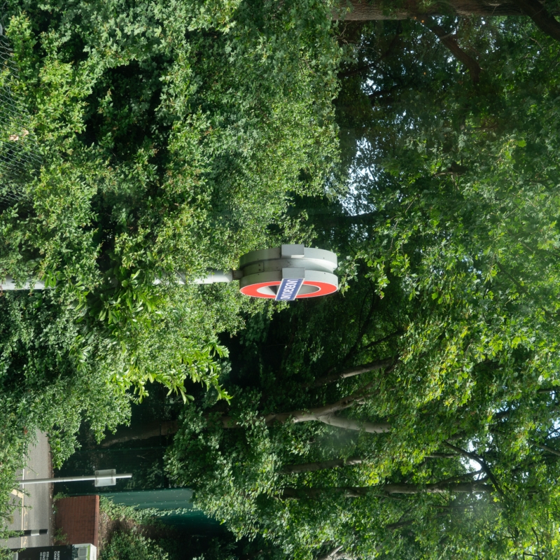 DSC08648